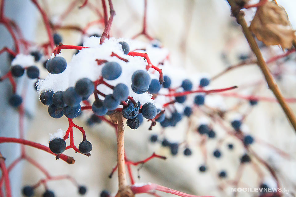 Облачно. Временами мокрый снег - погода на начало недели