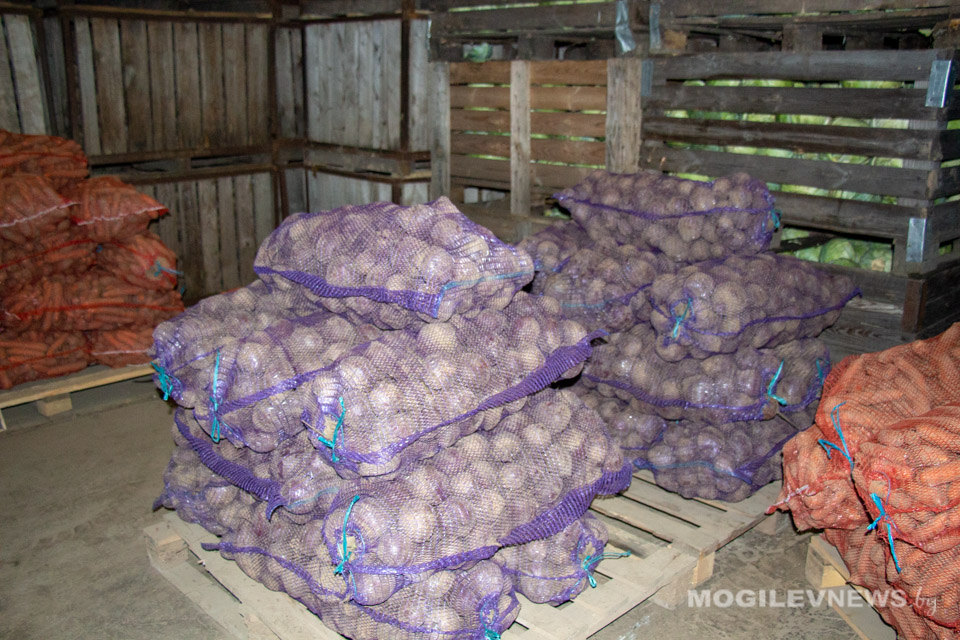 Экспорт белорусской сельхозпродукции в январе-июле вырос почти на 10%