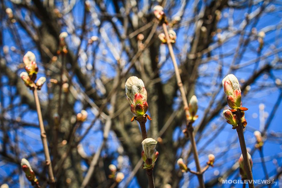 Погода на выходные: дожди, грозы и до +17°С