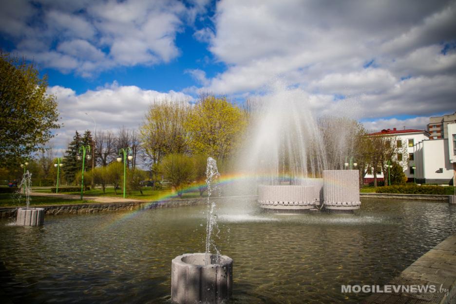 Сильные дожди и до +24°С ожидаются в первой половине следующей недели в Могилевской области