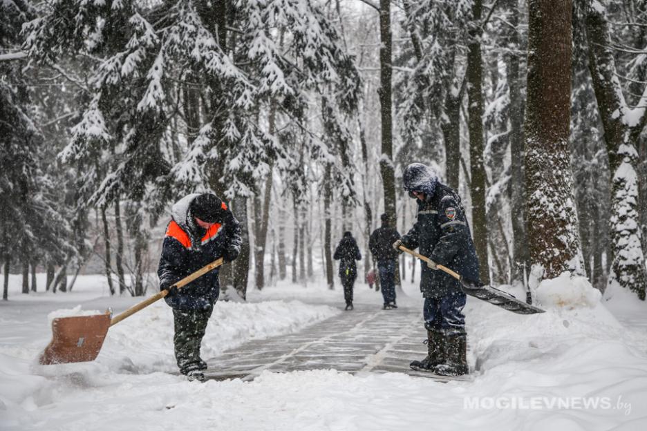 Профсоюзная молодежь поможет справиться со снегом Могилевскому специализированному Дому ребенка