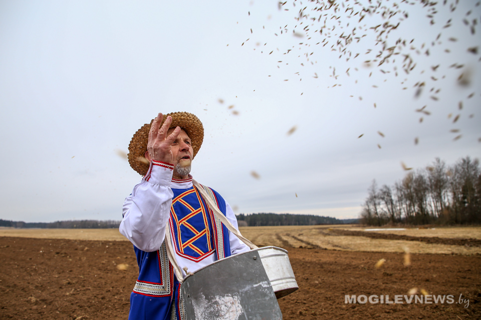 В Могилевской районе прошли «Засевки». Фото