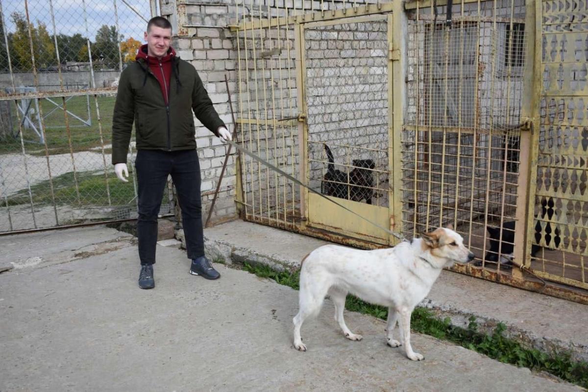 Приют для животных посетили сотрудники Департамента охраны в Могилеве. Фото