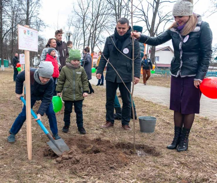 Аллею семейных деревьев заложат в Могилеве 17 апреля