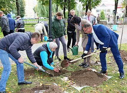Аллею единства заложили в городском парке Шклова к Дню народного единства