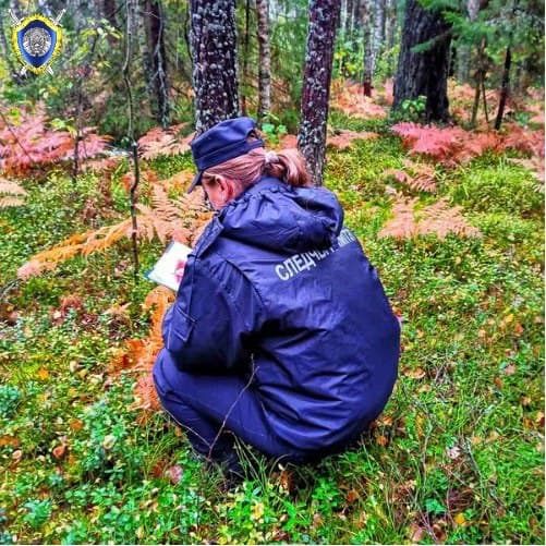 Пропавшего грибника обнаружили мертвым в лесу вблизи деревни  Ляховщина Чаусского района