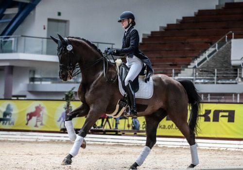 Могилевская всадница победила на чемпионате Беларуси по выездке в помещении