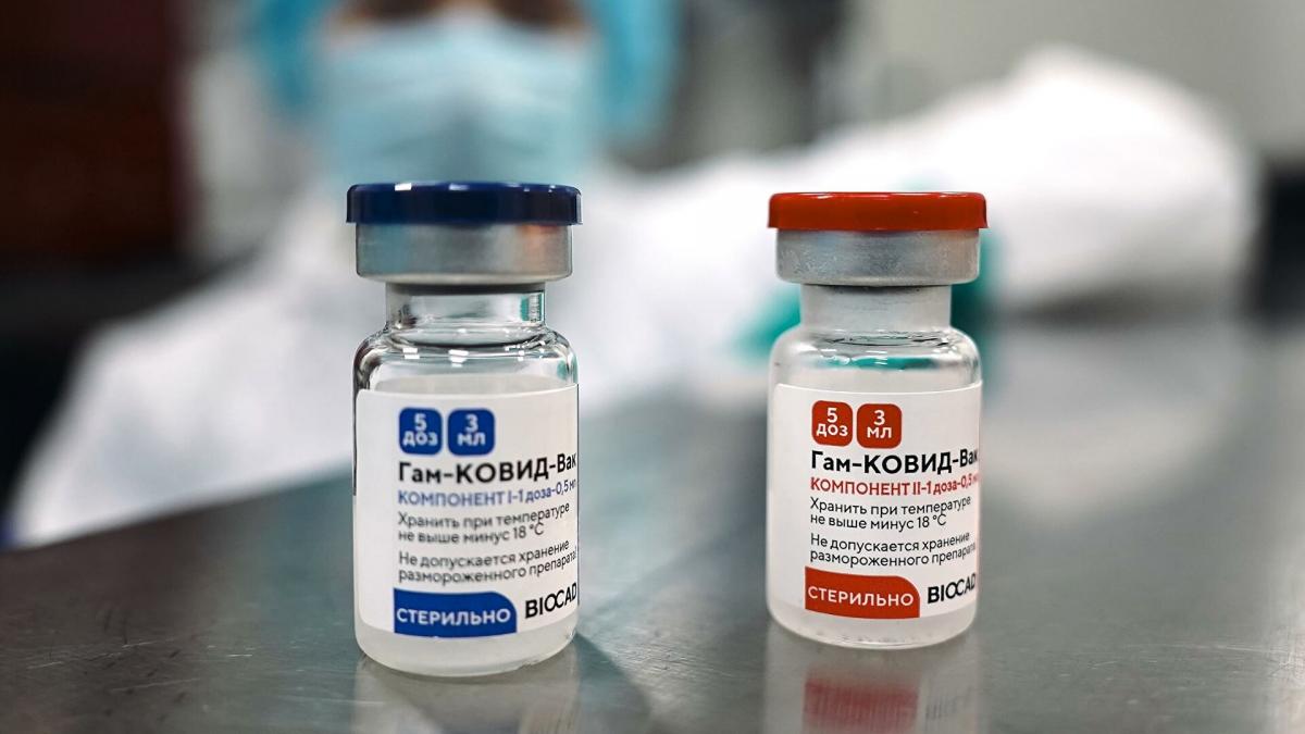 Александр Гинцбург: вакцина "Спутник V" безопасна для репродуктивной функции человека