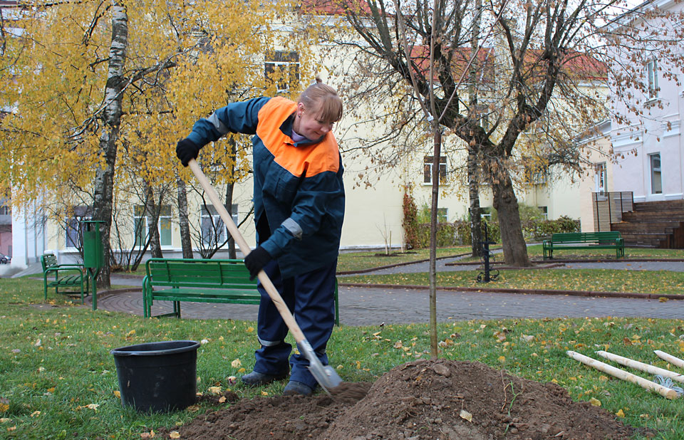 По Ленинской в Могилеве на субботнике высадили фруктовые деревья. Фото