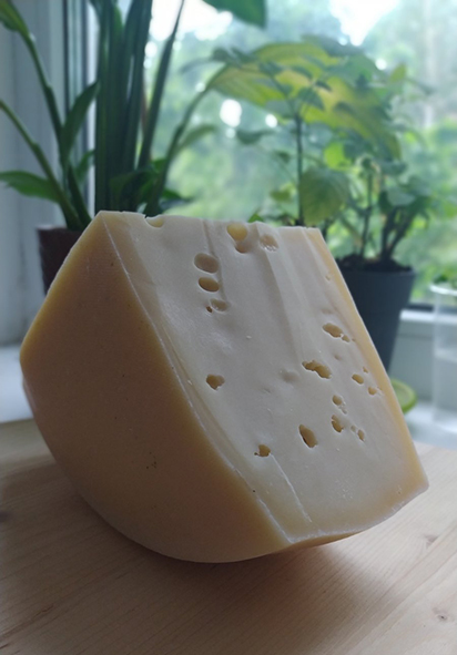 Тренинг по ознакомлению с технологией изготовления сычужных сыров в рамках местной инициативы состоялся в Краснополье