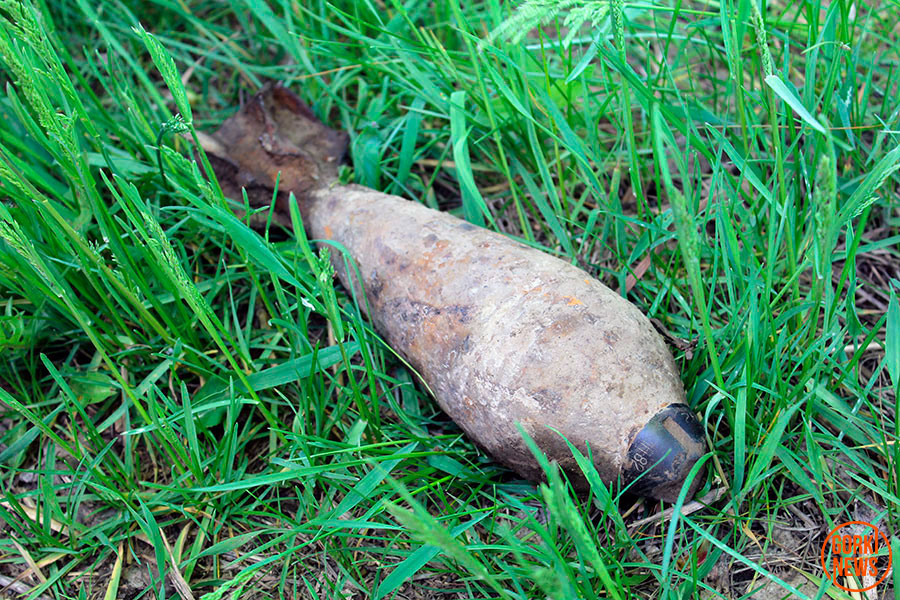 Мину времен Великой Отечественной войны обезвредили саперы в Горецком районе