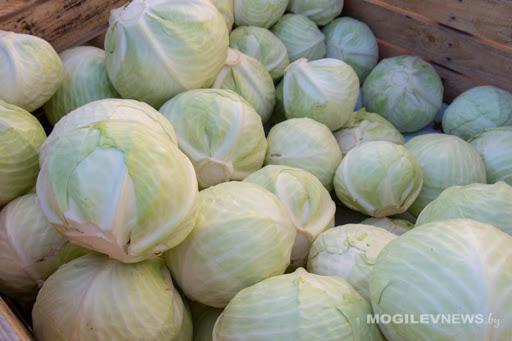 11 хозяйств Могилевщины принимают участие в закладке стабфонда плодоовощной продукции