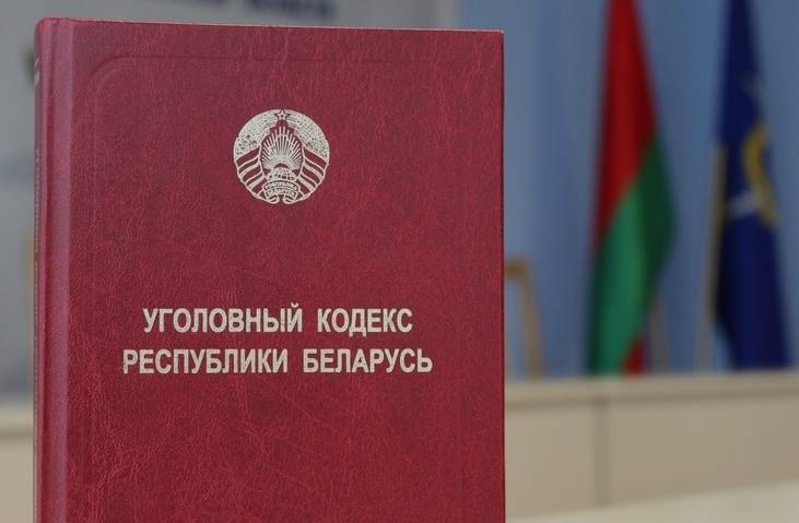 Замминистра юстиции пояснила, как будет работать институт замены наказания
