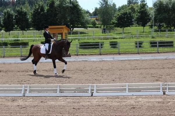 Могилевские спортсменки завоевали награды на республиканских соревнованиях и первенстве Беларуси по конному спорту