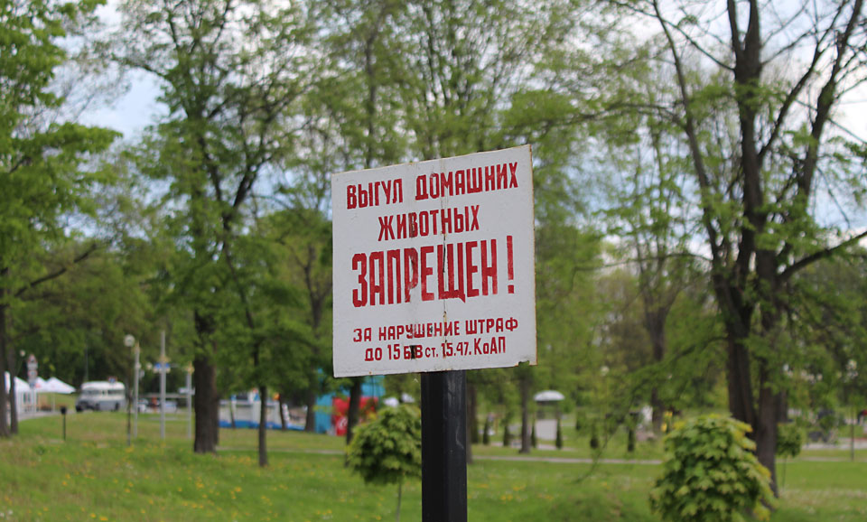 3527 домашних животных зарегистрированы в Могилеве на 1 апреля текущего года
