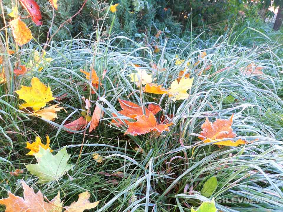 До -5С в Могилевской области ожидается в ночь на 10 октября