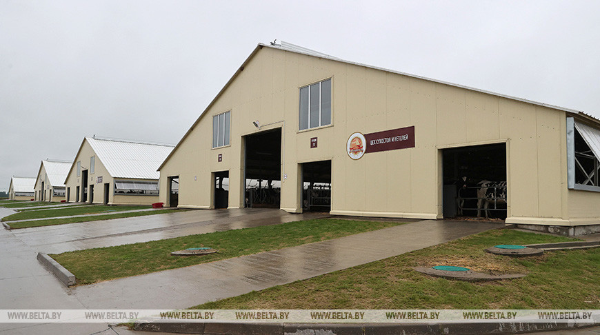 Александр Лукашенко посещает ОАО "Агрокомбинат "Юбилейный" в Оршанском районе