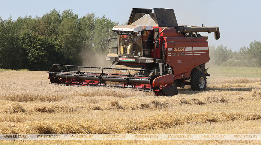 "Должны пользоваться своим!" Лукашенко потребовал от сельхозпредприятий переходить на белорусскую технику