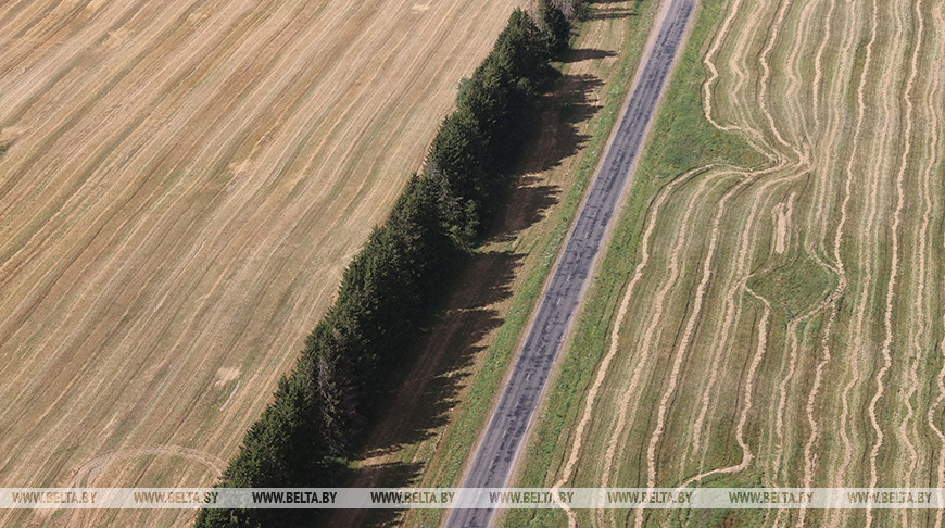 Лукашенко: прозеваем в мелиорации еще 5-7 лет - и вернуться будет почти невозможно