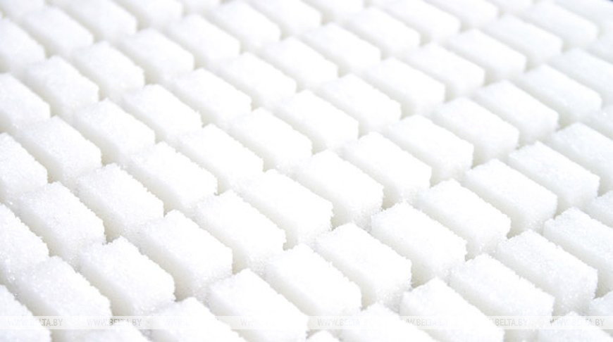 Беларусь и Таджикистан намерены нарастить торговлю сельхозпродукцией