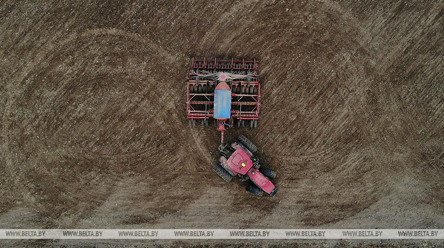 Минсельхозпрод: сев проведен уже на 30% площадей