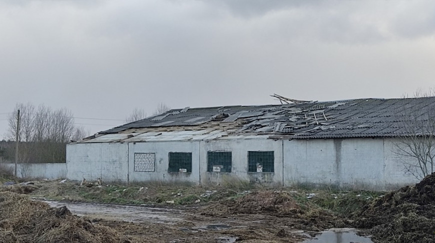 В Беларуси восстановлено 312 из 1742 сельхоззданий, поврежденных сильным ветром