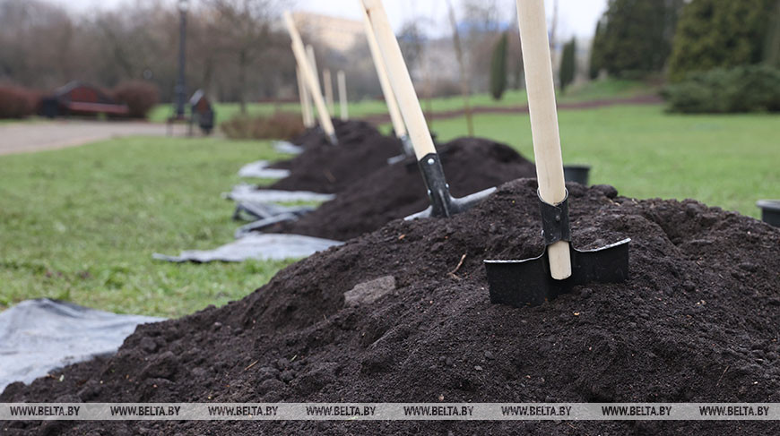 Утвержден состав рабочей группы по подготовке и проведению республиканского субботника