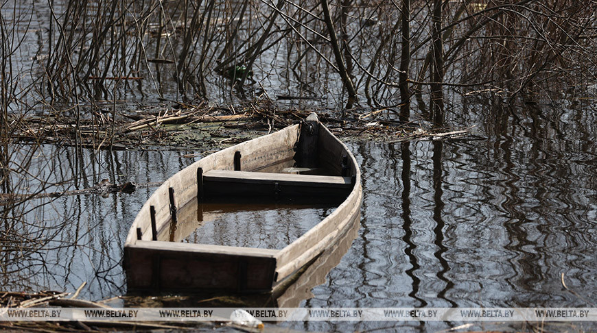 Уровень воды в реке Проня скоро превысит опасную отметку, возможны затопления