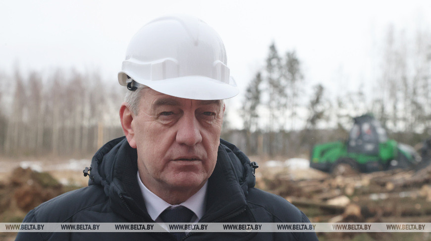 Назаров поручил с 1 июня сравнять ежесуточные объемы заготовки и вывозки поврежденной древесины