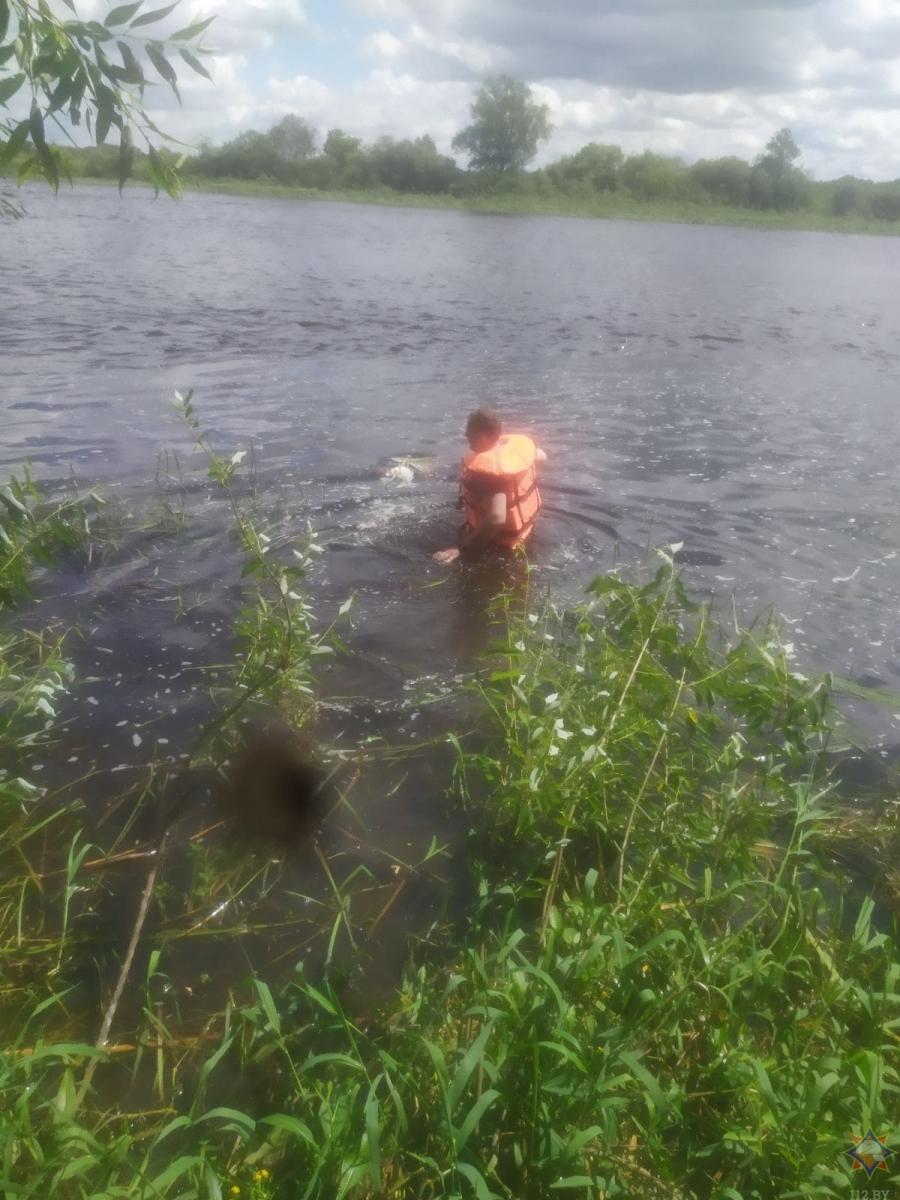 В Бобруйске утонул мужчина