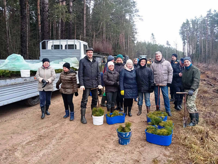 Ректорат МГУ им А. А. Кулешова посадил  саженцы сосны и березы в Шкловском районе