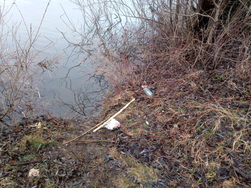 Могилевчанин спас тонущего в Днепре пенсионера