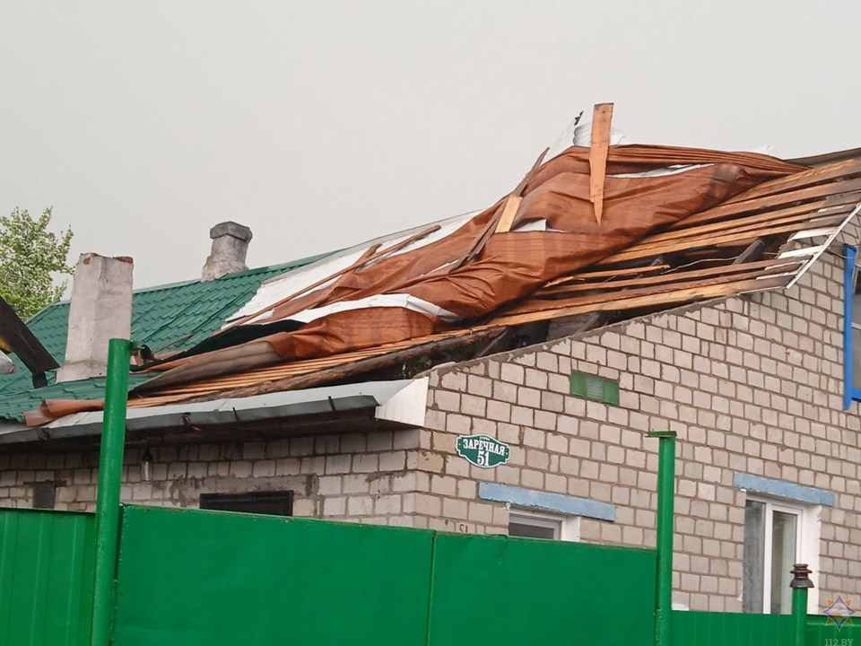 Последствия сильного ветра в Могилевской области: десятки поваленных деревьев, сорванные кровли, поврежденные автомобили