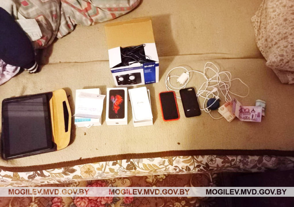 Школьник в Бобруйском районе похитил пожертвования из храма