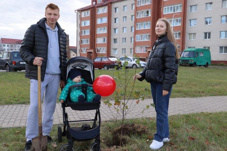 Семейную аллею заложили в Белыничах