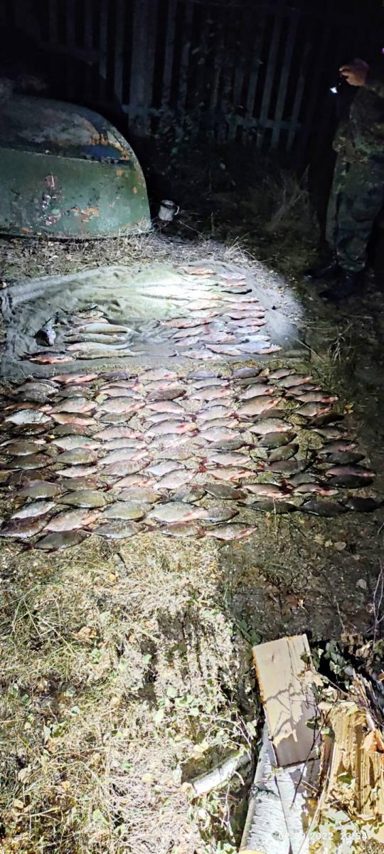 До трех лет лишения свободы грозит могилевчанину за браконьерство