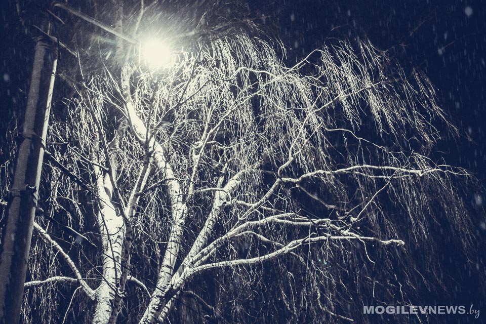 Погода на выходные: оранжевый уровень опасности  - усиление ветра и продолжительные осадки