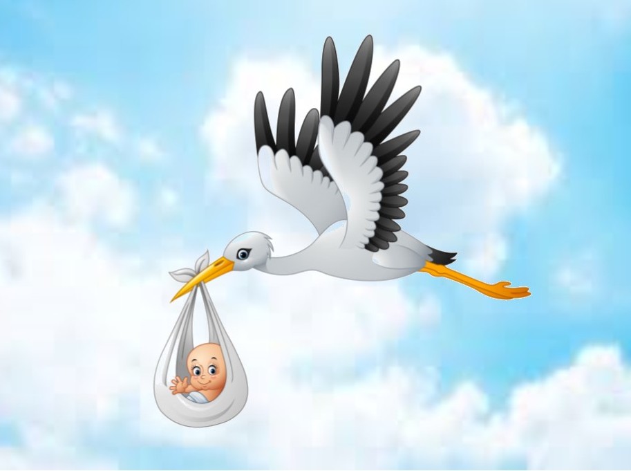 В Климовичском районе за девять месяцев текущего года родились 106 малышей