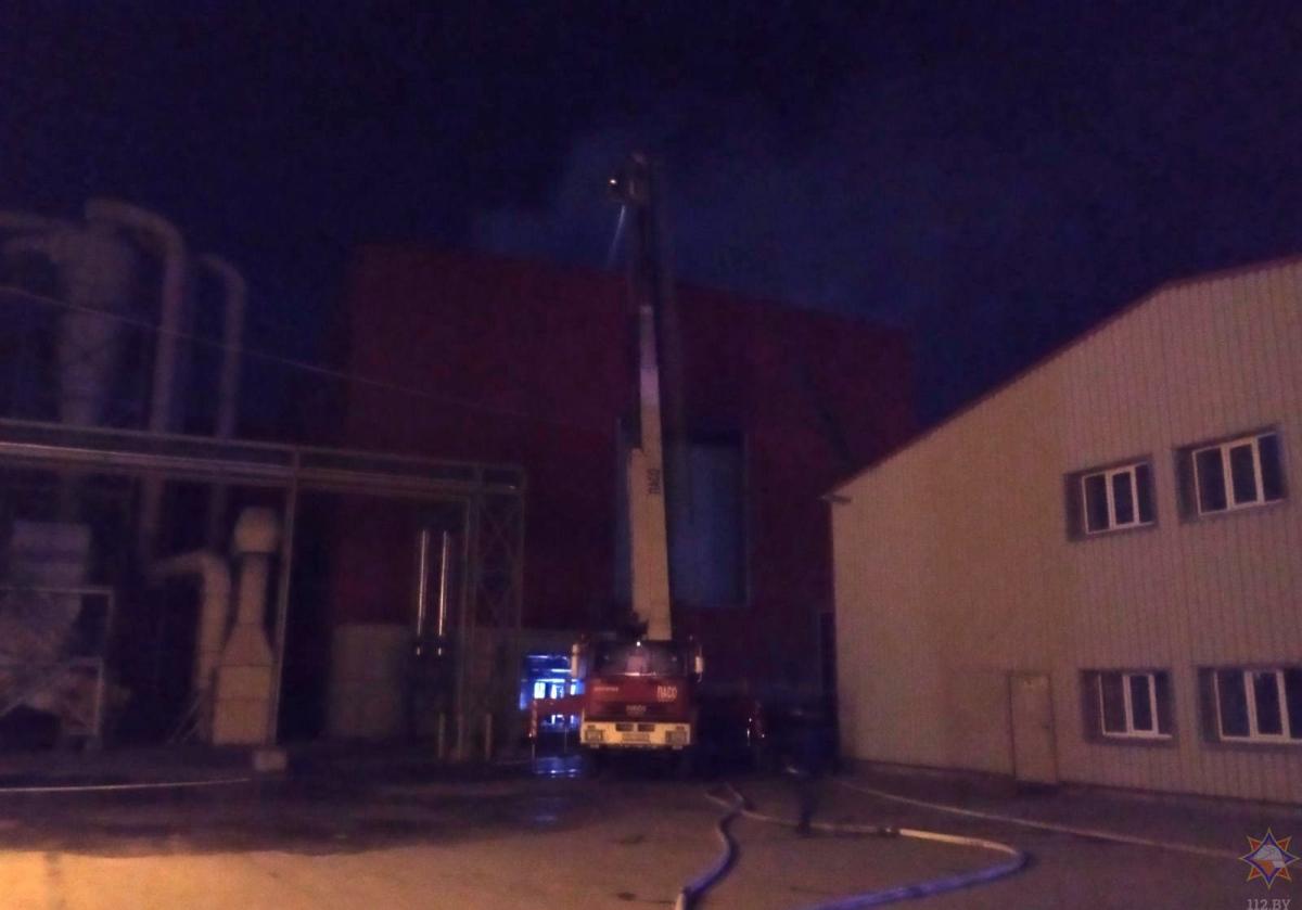 Загорание на «Кроноспан» тушили спасатели в Могилевском районе