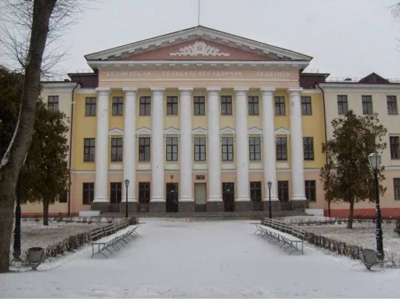 Прокат лыж и коньков организовали в БГСХА