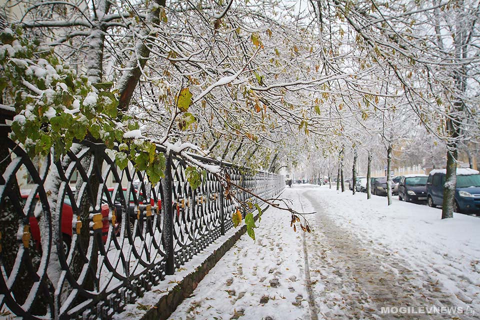 Погода на неделю: холодная погода (до -14°С ночью) установится с четверга в Могилевской области