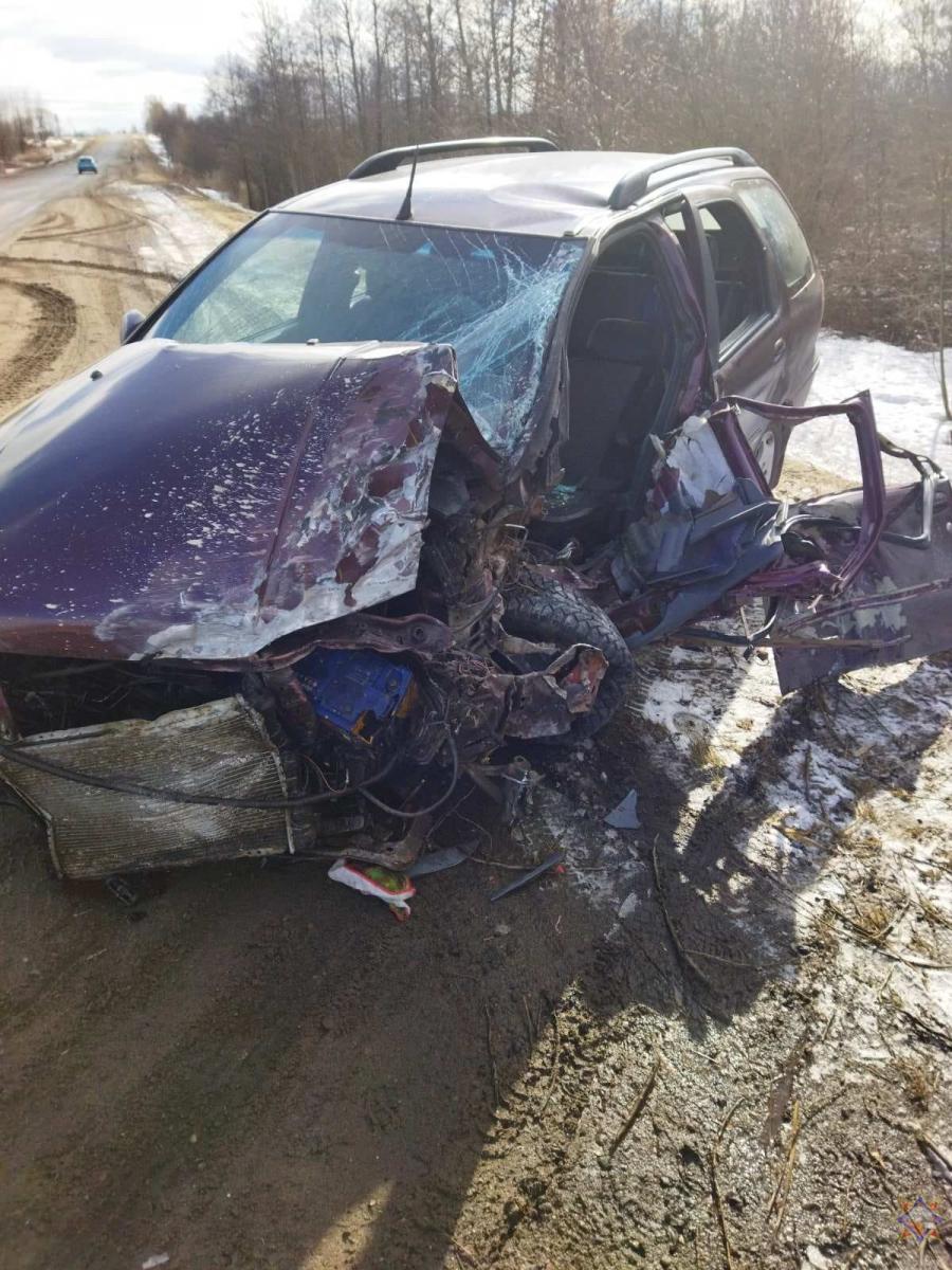 В ДТП в Кричеве пострадал водитель