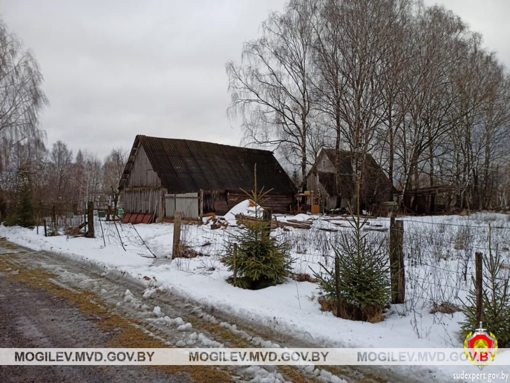 Велосипед и семь рамок с медом похитил житель Костюковичского района с чужой дачи