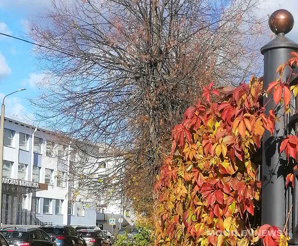 Температура воздуха в октябре ожидается около климатической нормы