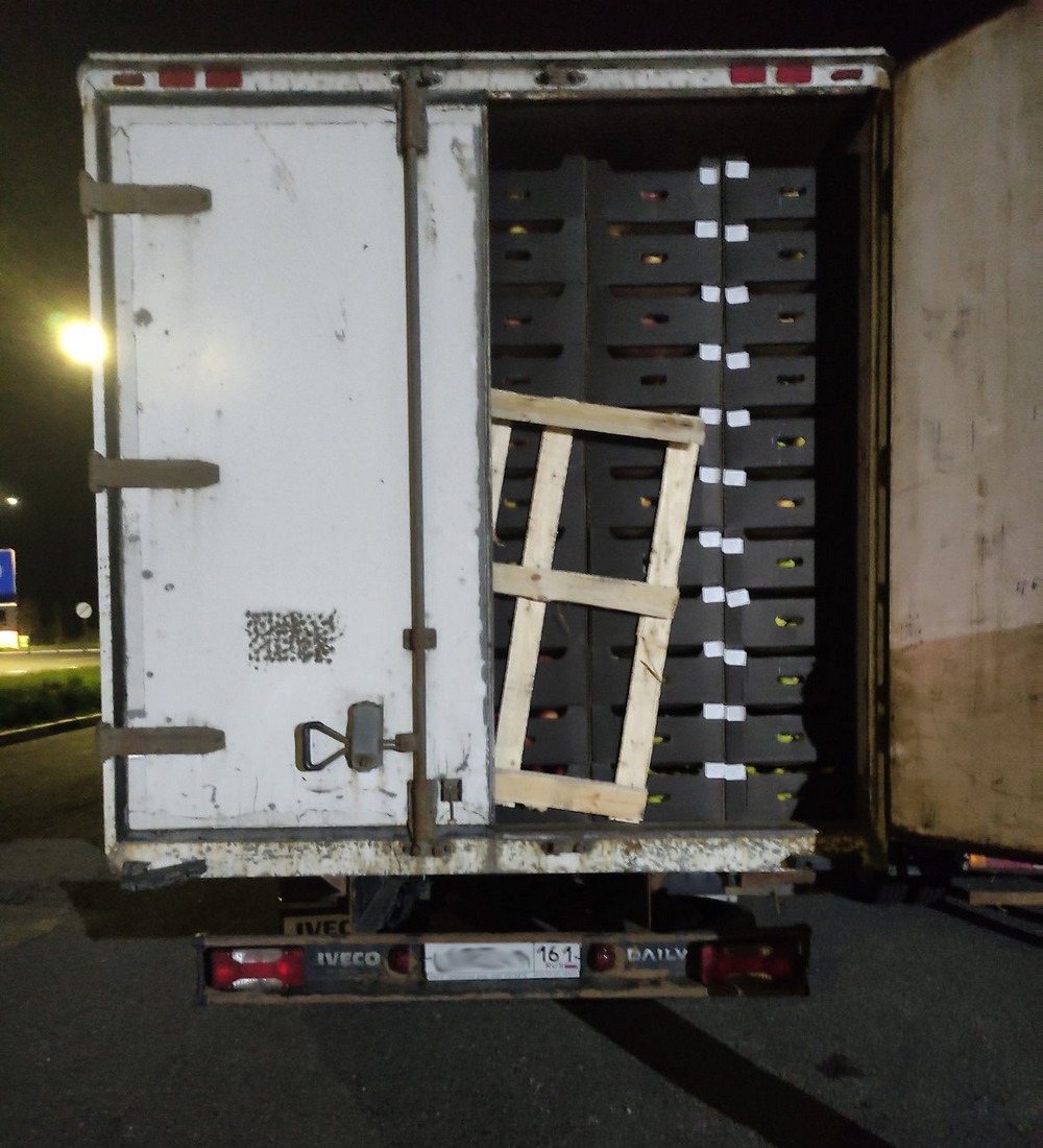 Вывоз из Беларуси  16 тонн яблок без документов пресекли могилевские таможенники