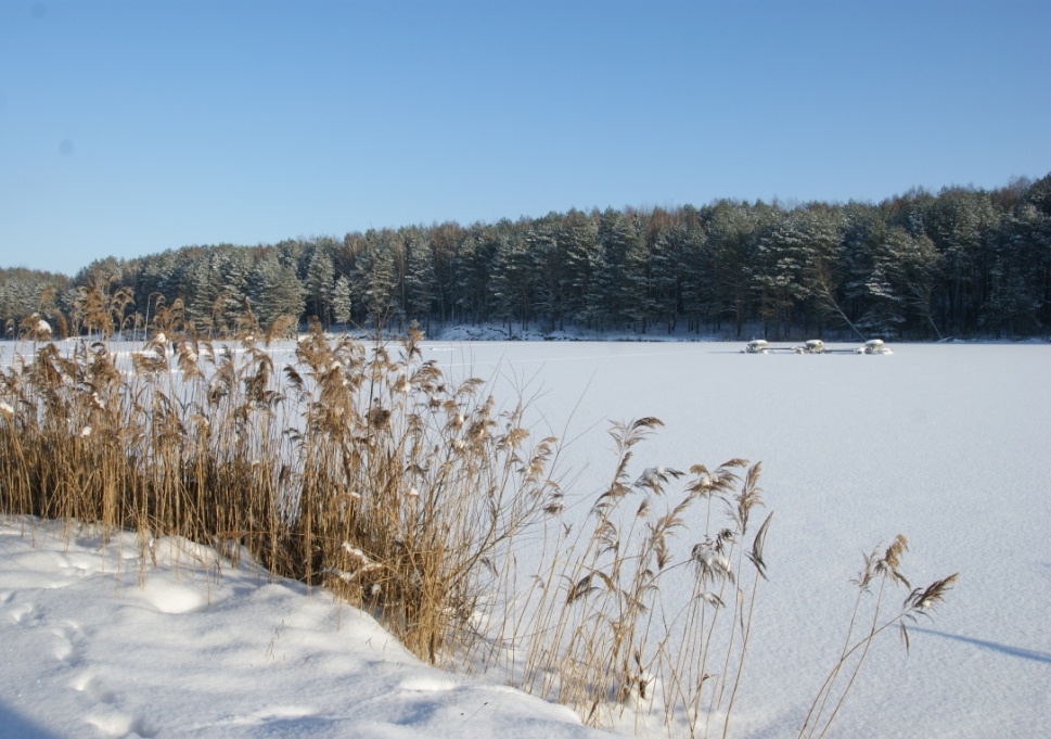 Погода на выходные: морозно и слабая метель