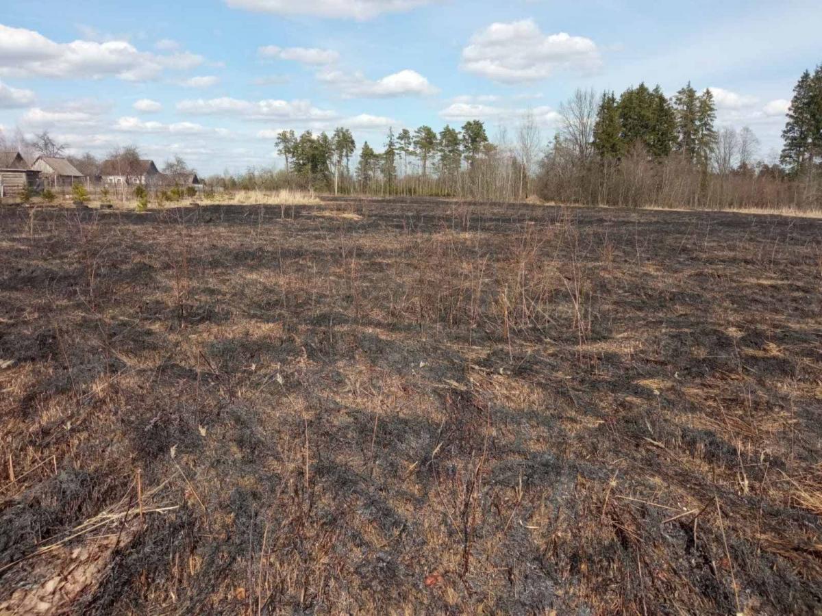 Спасатели в Могилеве за неделю около 10 раз выезжали на ликвидацию загораний сухой растительности