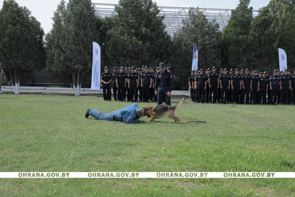 В соревнованиях в Узбекистане кинолог из Могилева занял 2 место в общем курсе дрессировки