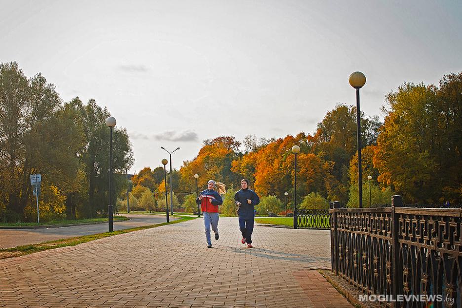 Погода на неделю: туман, местами дожди и до +16°С