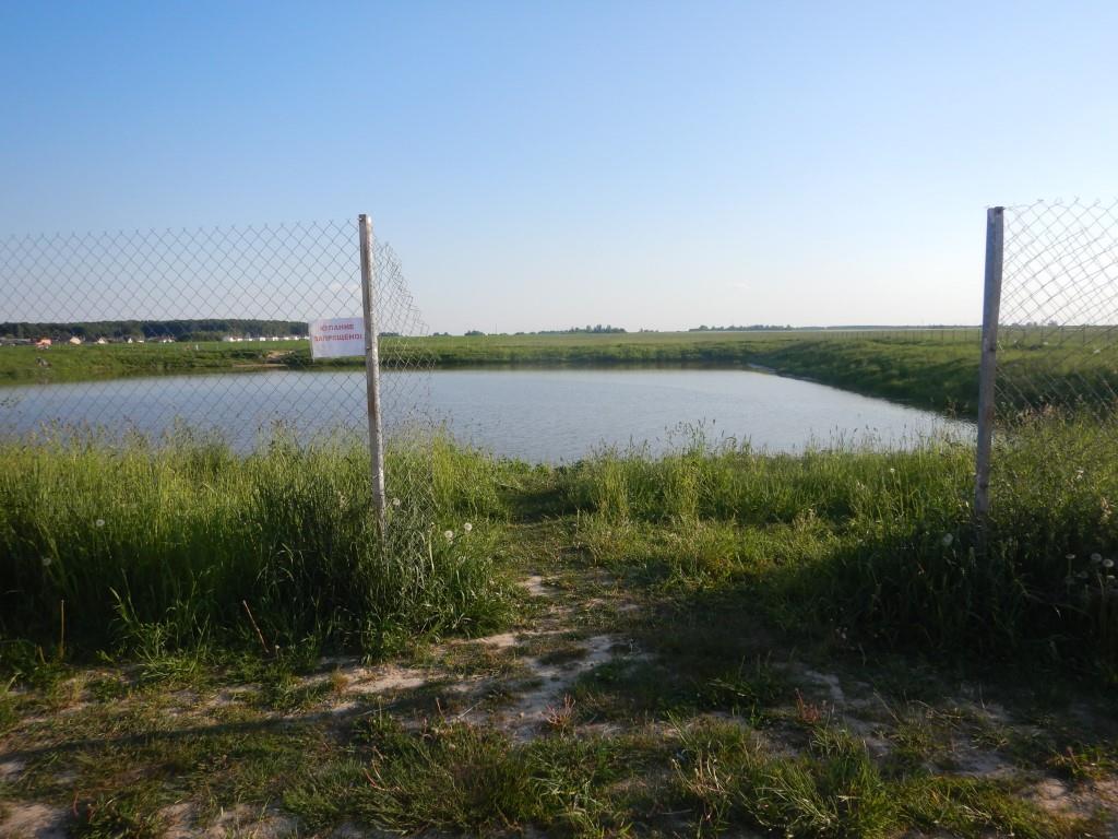 В Могилеве утонул мужчина